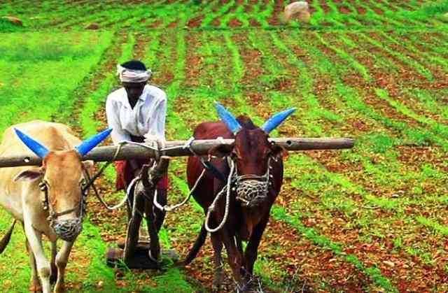 मोदी सरकारचे शेतकऱ्यांना 'गिफ्ट' शेतकऱ्यांची हीताची मोठी घोषणा