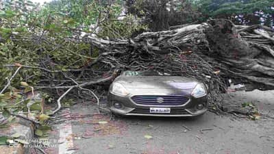 औरंगाबादमध्ये भर रस्त्यात वडाचं झाड कोसळलं, कारचं मोठं नुकसान!