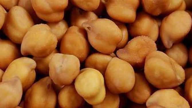 शेतकऱ्यांनाच विकत घेता येणार आता कृषी विद्यापीठाचे बियाणे