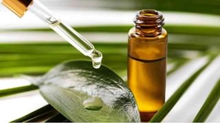 Skin Care : मुरूमाची समस्या दूर करण्यासाठी लसूण अत्यंत फायदेशीर, वाचा अधिक!