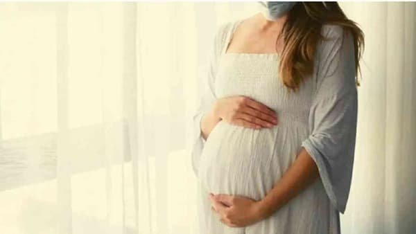 Pregnancy Care :गर्भधारणेदरम्यान प्रत्येक स्त्रीच्या आहारात या गोष्टी असणे आवश्यक!