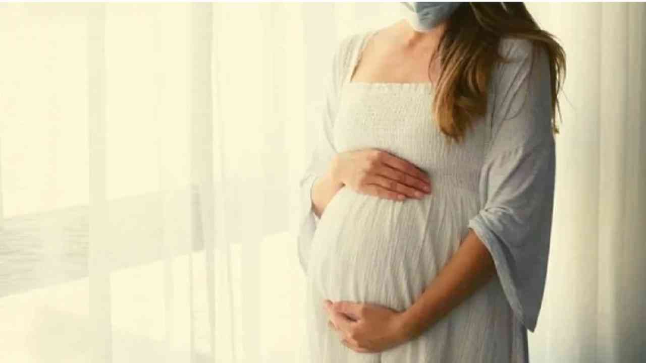 Pregnancy Care :गर्भधारणेदरम्यान प्रत्येक स्त्रीच्या आहारात 'या' गोष्टी असणे आवश्यक!
