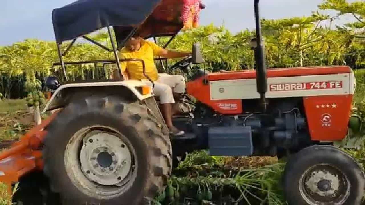 टोमॅटोचा लाल चिखल, मिरची उपटून फेकली, पपईला बाजार भाव नसल्याने शेतकऱ्याकडून रोटरने बाग उद्ध्वस्त