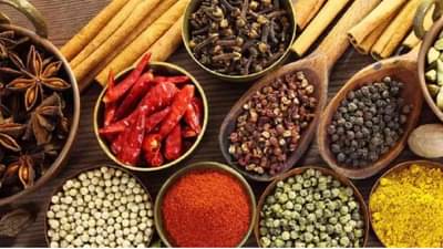 Kitchen Hacks : या हंगामात मसाले खराब होऊ नयेत म्हणून या टिप्स फॉलो करा!