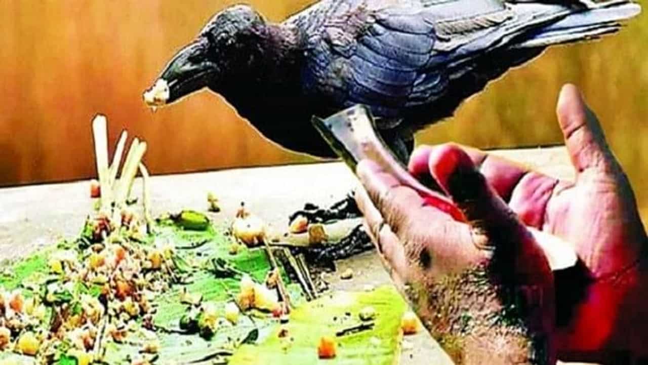 Pitru Paksha 2021 : आजपासून पितृ पक्षाला सुरुवात, पितरांना प्रसन्न करण्यासाठी या गोष्टींची काळजी घ्या