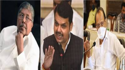 देवेंद्र फडणवीस दबंग नेते, शंभर अजित पवारांना खिशात घालून फिरतात!, भाजप नेत्याचं मोठं वक्तव्य