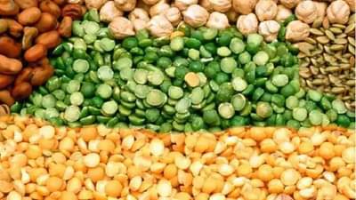 केंद्र सरकारचा दिलासा : डाळीचे दर राहणार मर्यादीत, सणाच्या तोंडावर मोठा निर्णय