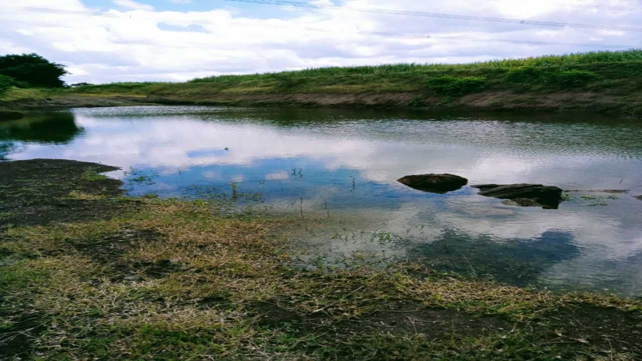 चिमुकले शेततळ्याजवळ खेळत होते, खेळता-खेळता पाण्यात गेले, तिघांचा दुर्देवी अंत, अहमदनगर हळहळलं