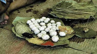 Shashthi Shraddha 2021 : जाणून घ्या तारीख, वेळ, महत्त्व, पूजा विधी आणि या विशेष दिवसाबद्दल