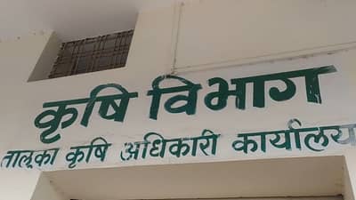 बियाणे कंपन्याकडून फसवणूक, शेतकऱ्यांची कृषी विभागाकडे तक्रार, नुकसान भरपाई मिळण्याची मागणी