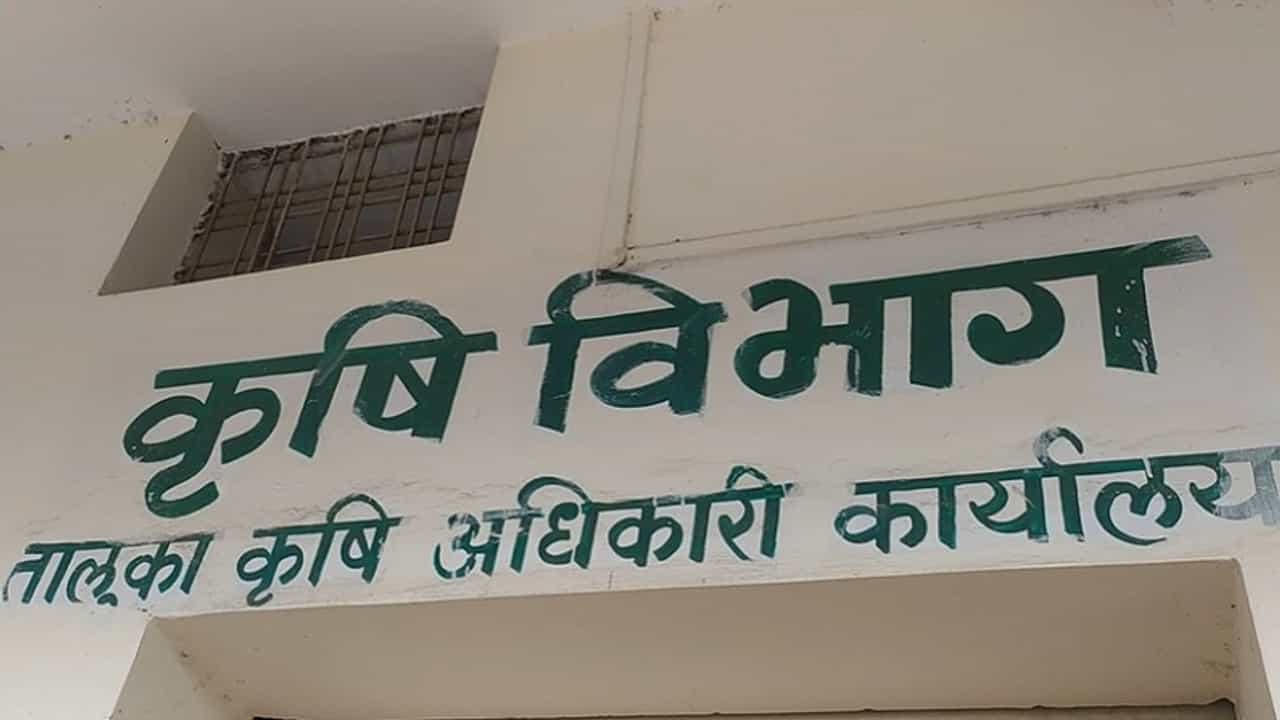 बियाणे कंपन्याकडून फसवणूक, शेतकऱ्यांची कृषी विभागाकडे तक्रार, नुकसान भरपाई मिळण्याची मागणी