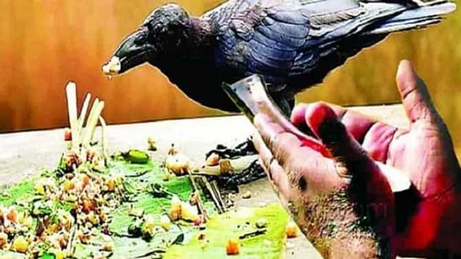 Pratipada Shraddha : प्रतिपदा श्राद्ध, जाणून घ्या या दिवसाचं महत्त्व आणि पूजा विधी
