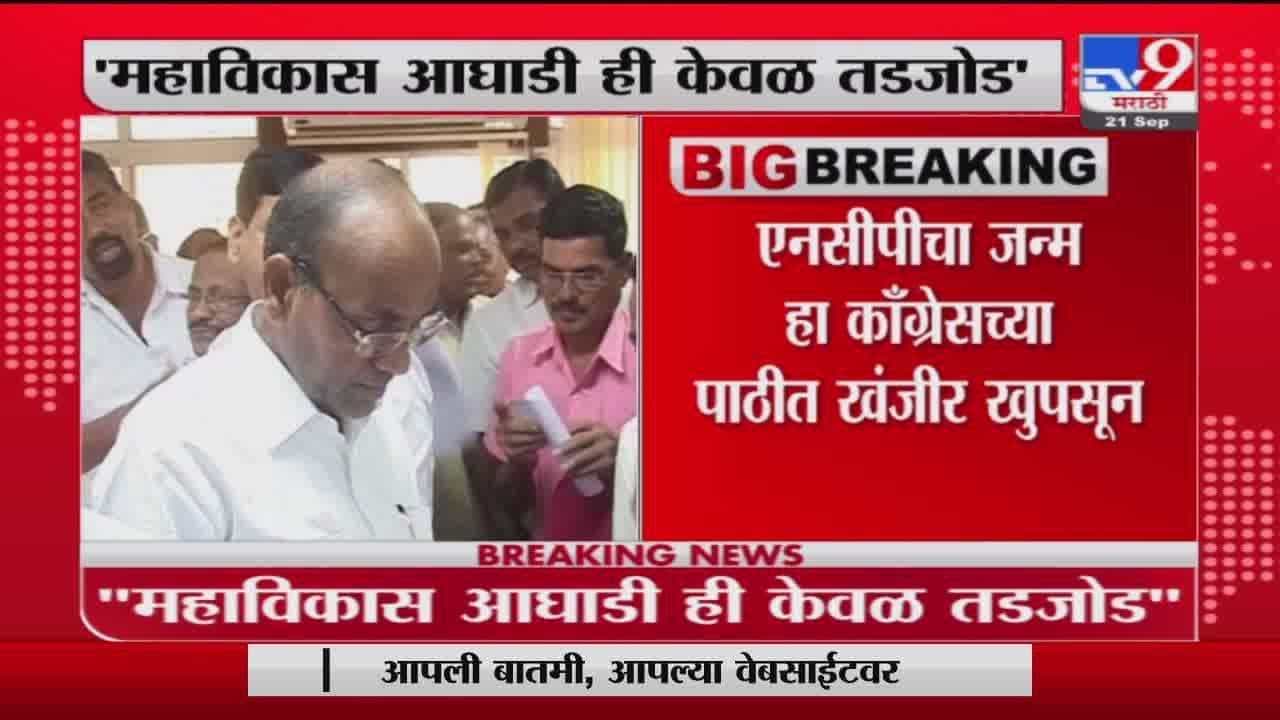 Anant Gite | शरद पवार हे आमचे नेते होऊ शकत नाही - अनंत गीते