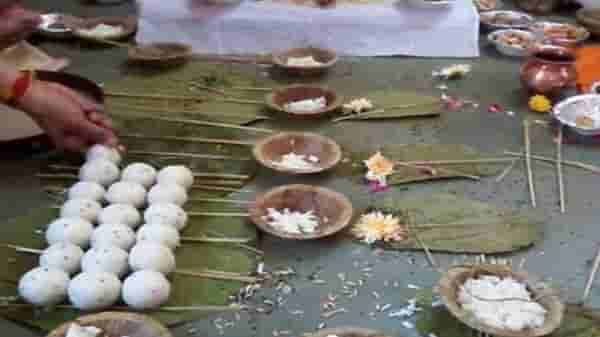 Pitru Paksha 2021 : पितरांची नाराजी दूर करण्यासाठी पितृपक्षात ही झाडं लावा