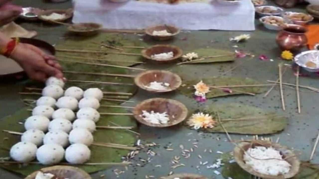 Pitru Paksha 2021 : पितरांची नाराजी दूर करण्यासाठी पितृपक्षात ही झाडं लावा