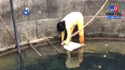 Buldana | बुलडाण्यात विहिरीत आढळलेला अजगर, सर्पमित्र वनिता बोराडे यांनी काढला बाहेर