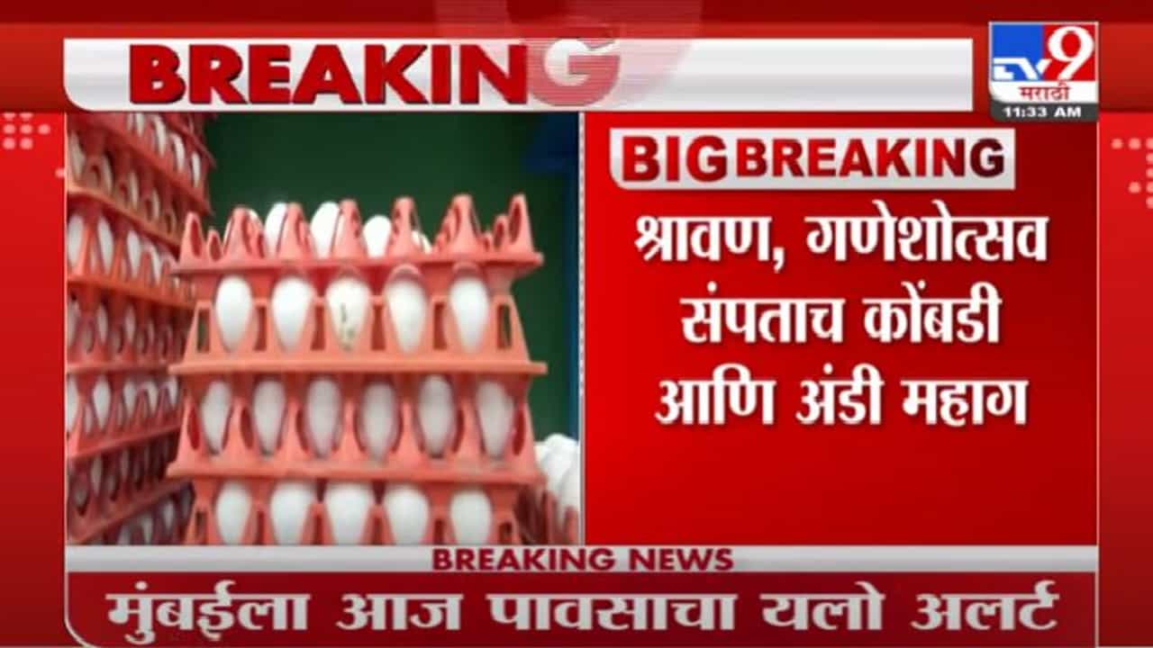 श्रावण संपताच महागाईची फोडणी; चिकन 10 रुपयांनी तर अंडी एक रुपयांनी महागली