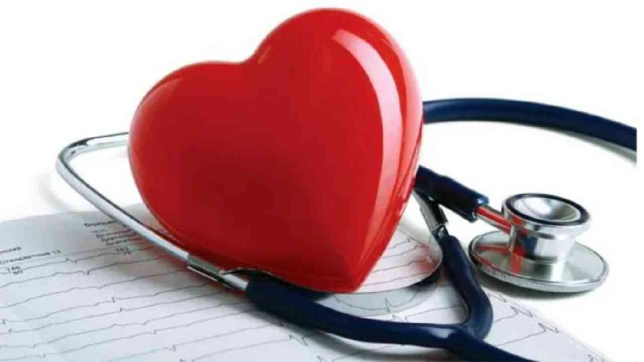 Healthy Heart : निरोगी हृदयासाठी आहारात 'हे' 6 पदार्थ समाविष्ट करा!
