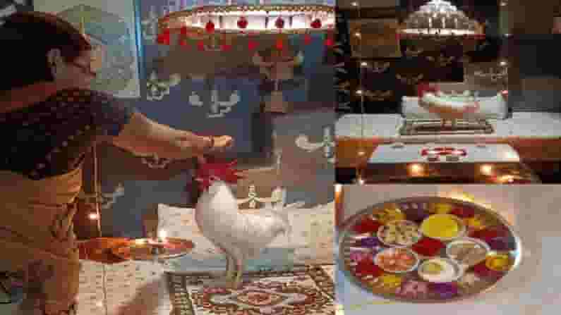 Nagpur | बर्थडे आहे कोंबड्याचा, जल्लोष साऱ्या कुटुंबाचा, उमरेडमध्ये चक्क कोंबड्याचा वाढदिवस Nagpur | बर्थडे आहे कोंबड्याचा, जल्लोष साऱ्या कुटुंबाचा, उमरेडमध्ये चक्क कोंबड्याचा वाढदिवस