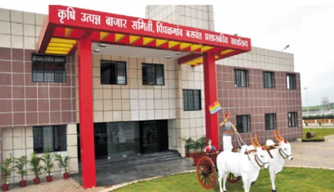 नाशिकः शेतकऱ्यांची लूट करायची इरसाल पद्धत; पठ्ठ्यांनी बाजार समितीच्या वजन काट्यालाच बांधला दगड