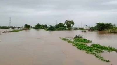 काय सांगता ? यंदाच्या पावसाळ्यात लेंडी नदीच्या पूरामुळे 10 गावांचा 48 वेळा संपर्क तुटला