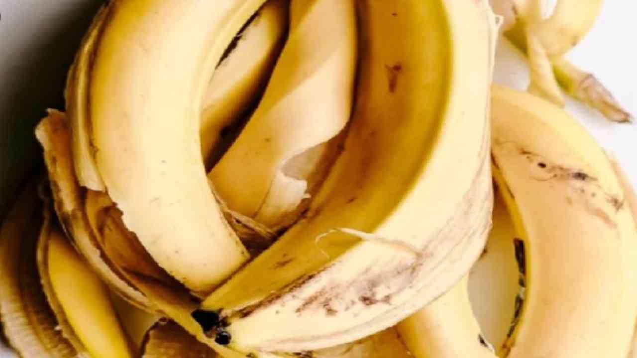 केळी केवळ आरोग्यासाठीच नव्हे तर त्वचेसाठी देखील खूप फायदेशीर आहेत. केळीच्या सालाच्या मदतीने आपण अनेक प्रकारचे फेसपॅक तयार करू शकता. केळीच्या सालीमध्ये पोषक आणि फायटोन्यूट्रिएंट्स असतात. हे त्वचेशी संबंधित समस्यांवर मात करण्यास मदत करू शकतात. 