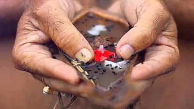 Pitru Paksha 2021 : श्राद्ध पक्षात हे 10 महादान करा, कुटुंबात भरभराट होईल