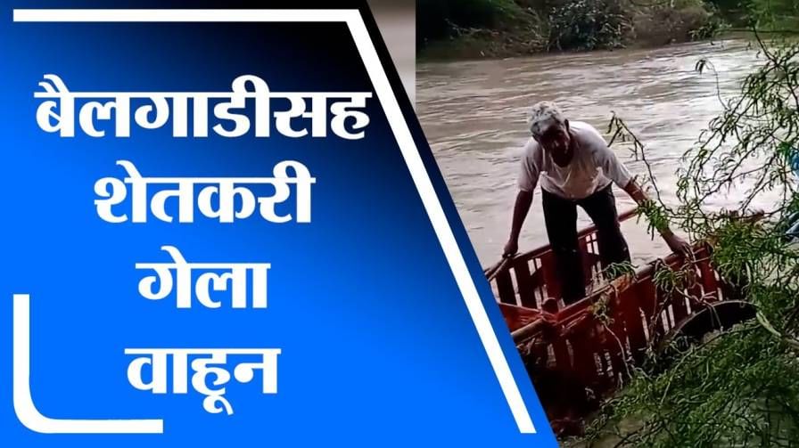 Nanded Flood | नांदेडमध्ये आसना नदीला आला पूर, बैलगाडीसह शेतकरी गेला वाहून