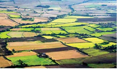 औरंगाबादकरांनो, प्लॉट खरेदीवेळी सावध रहा, तुकडेबंदी झुगारून बाँडपेपरवर मालमत्ता घ्याल तर फसवणूक होईल!!