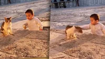 Video: शेअरिंग इज केअरिंग हे या चिमुरड्याला कळतं, आपल्याला कधी कळणार, मांजरीसोबतचा व्हिडीओ व्हायरल