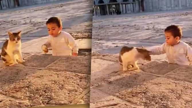 Video: शेअरिंग इज केअरिंग हे या चिमुरड्याला कळतं, आपल्याला कधी कळणार, मांजरीसोबतचा व्हिडीओ व्हायरल