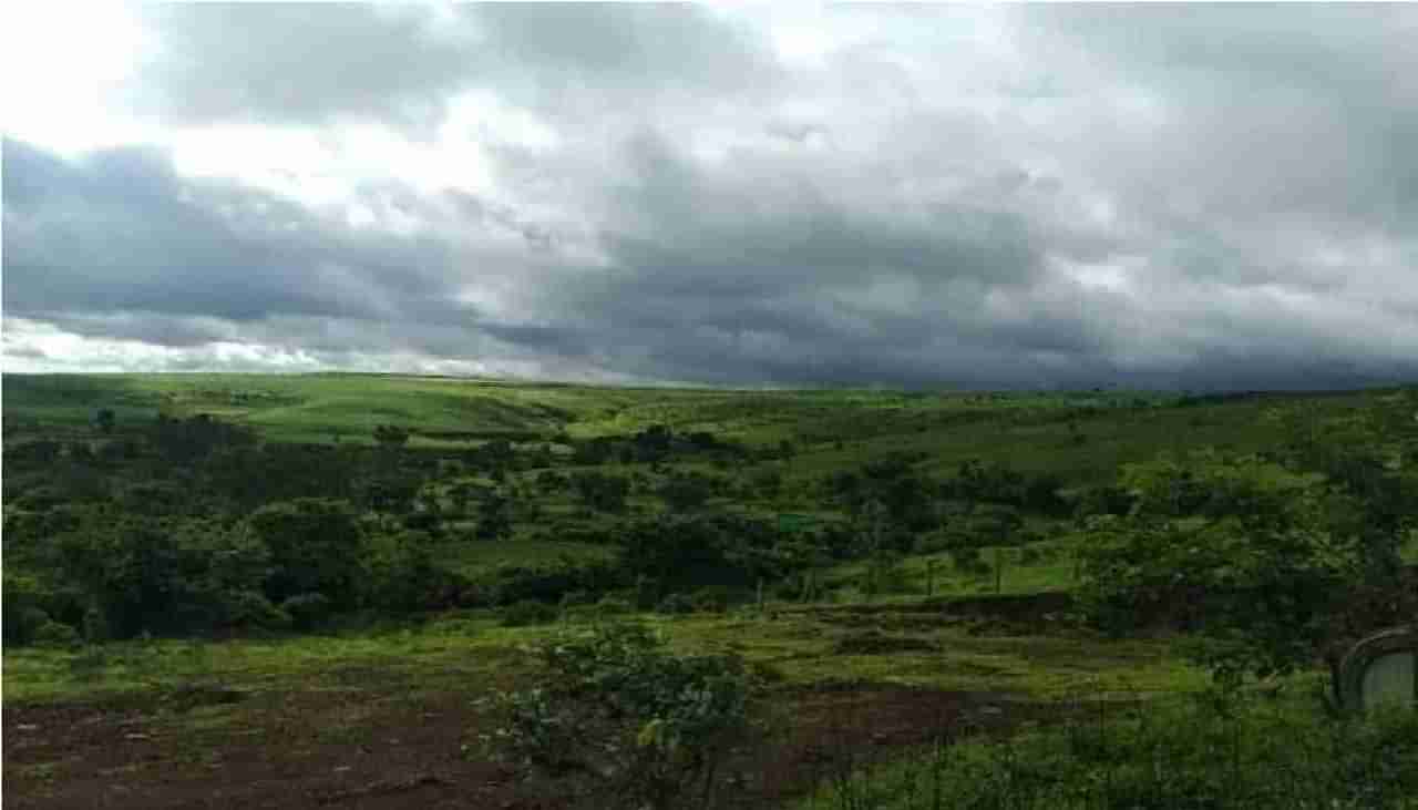 नाशिकसह उत्तर महाराष्ट्रात आज पावसाची शक्यता; सकाळपासून ढगाळ वातावरण