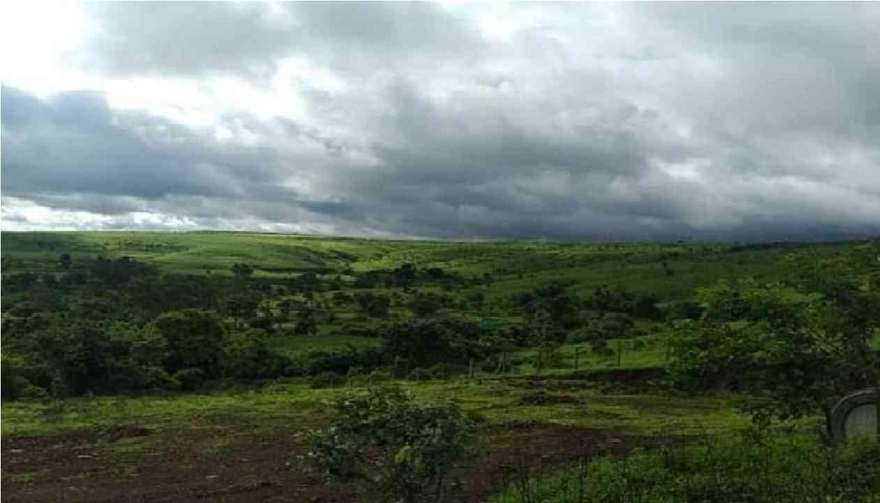 मराठवाड्यात पुन्हा पावसाची दाणादाण, पाच दिवस मुक्काम वाढला, वाचा कोणत्या जिल्ह्यांना यलो अलर्ट?