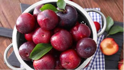 Health Care : हाडे मजबूत करण्यापासून ते रक्तातील साखर नियंत्रित करण्यापर्यंत प्लमचे फायदे जाणून घ्या!