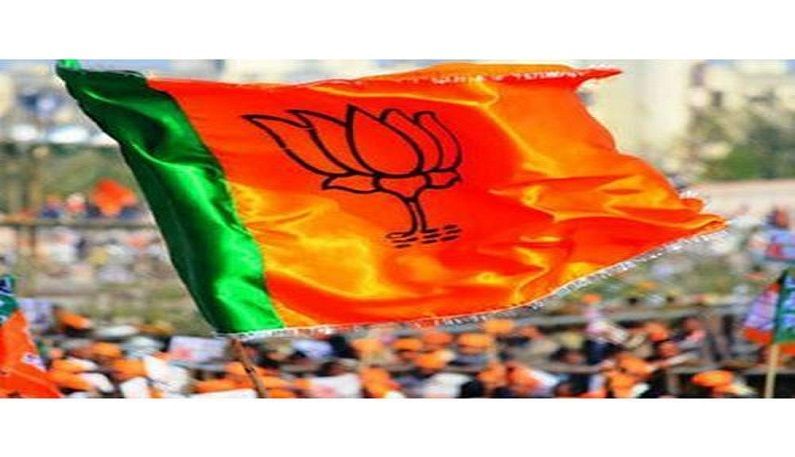 Elections 2022: BJP National Executive meeting in Delhi on the backdrop of  elections, 300 leaders will be present | BJP to hold national level meeting  ahead of state elections in Delhi 300