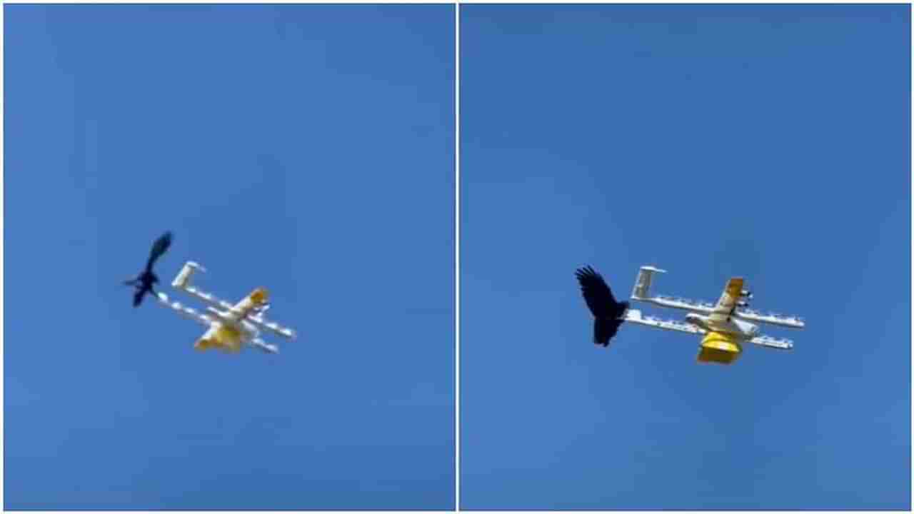 Viral : फुड डिलीव्हरी ड्रोनवर कावळ्याचा हवेत हल्ला, पाहा हा व्हायरल व्हिडीओ