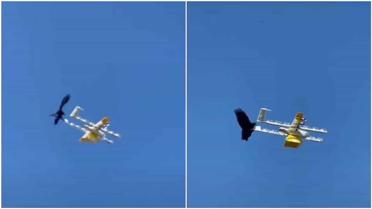 Viral : फुड डिलीव्हरी ड्रोनवर कावळ्याचा हवेत हल्ला, पाहा हा व्हायरल व्हिडीओ