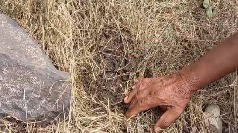 उस्मानाबाद जिल्ह्यातील वाशी गावाजवळ प्रभू माळी यांच्या शेतात बांधाच्या गवतावर आकाशातून एक दगड पडला, दगड अर्धवट जळालेल्या स्वरूपात असल्याने भीतीचे वातावरण आहे. माळी हे काम करत असताना जोराचा आवाज झाल्यानंतर हा प्रकार समोर आला.