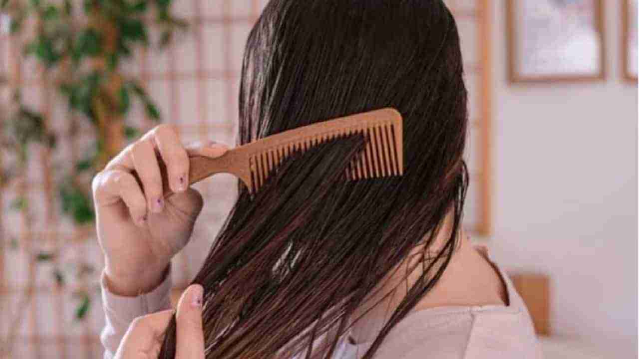 Hair Care : निरोगी केस ठेवायचे असतील तर नारळाच्या तेलात या गोष्टी मिक्स करा आणि सुंदर केस मिळवा!