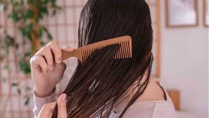 Hair Care Tips: ओले केस कधीही विंचरू नका, केस विंचरण्याचा योग्य मार्ग जाणून घ्या!