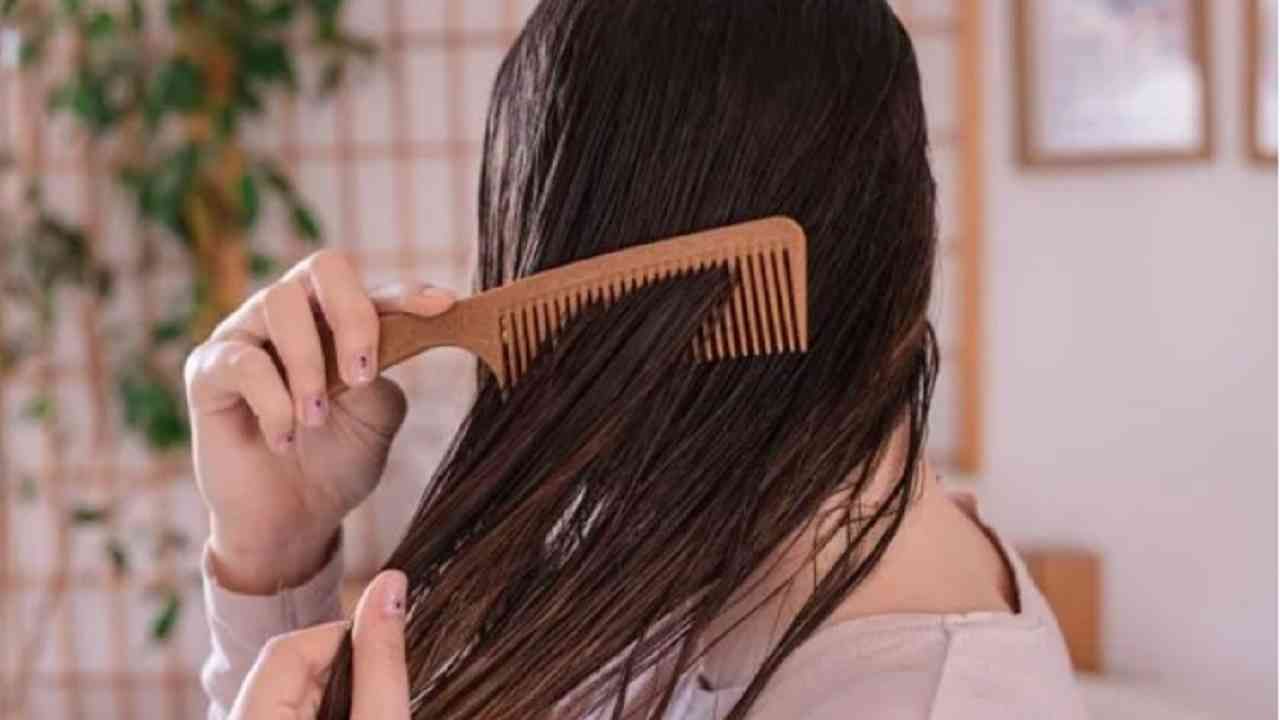 Hair Care : निरोगी केस ठेवायचे असतील तर नारळाच्या तेलात 'या' गोष्टी मिक्स करा आणि सुंदर केस मिळवा!
