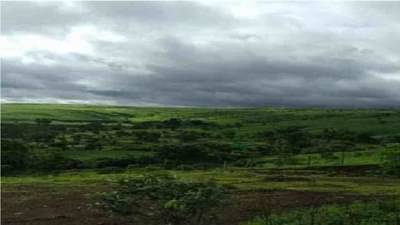 Weather: नको नको रे पावसा, मराठवाड्यातील जनतेचं वरुणदेवतेला साकडं... आणखी पाच दिवस मुसळधार पावसाची शक्यता