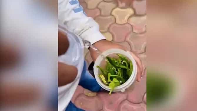 Video | तरुणांनी रस्त्यावरच्या खड्ड्यांमधून चालवली स्कुटी, अन् बघता बघता चटणी तयार, मजेदार व्हिडीओची चर्चा