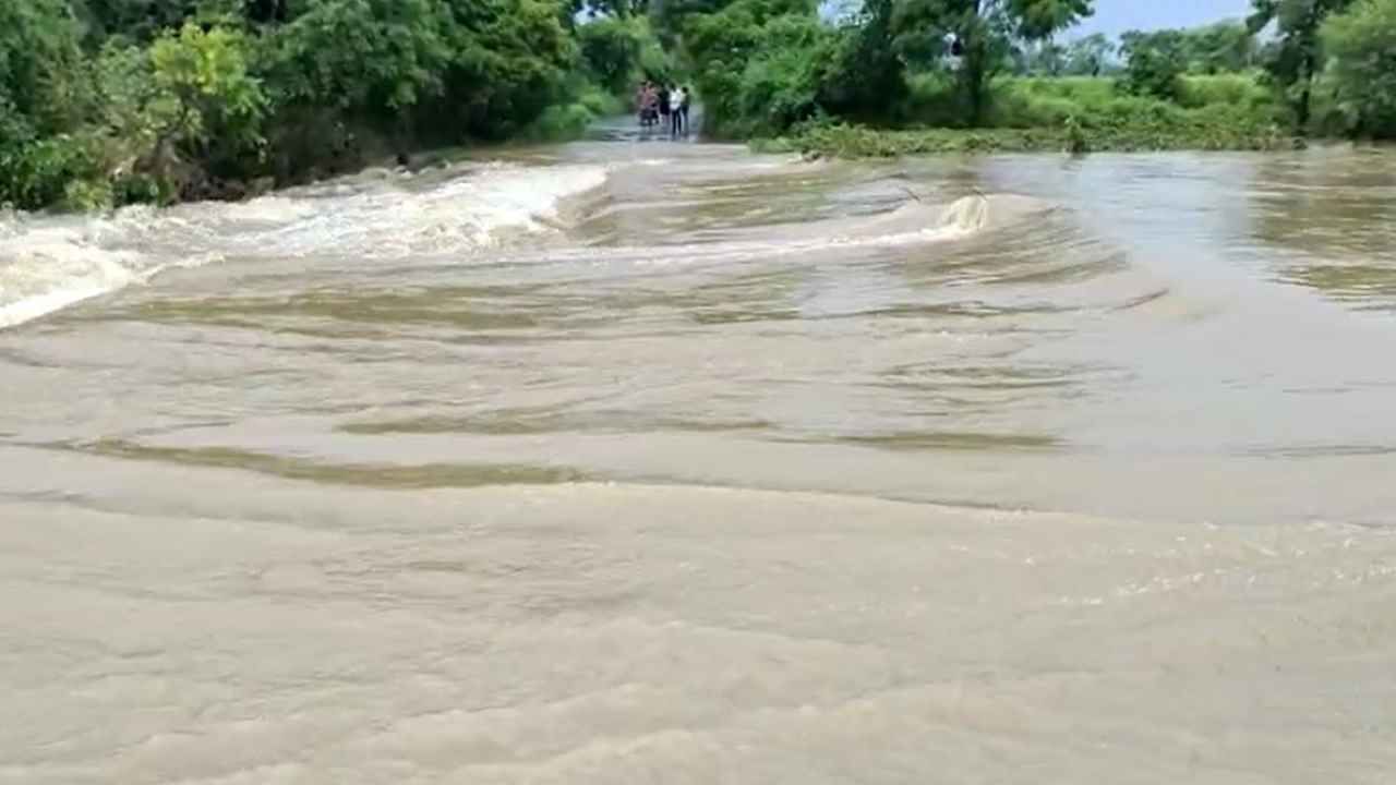 Weather Forecast: महाराष्ट्रात मुसळधार पावसाचा इशारा, बीड, हिंगोलीसह सोलापूर अकोल्यात पावसाची जोरदार बॅटिंग