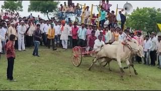 ग्रामीण भागातील रुग्णांची रुग्णवाहिकेवाचून यापुढे हेळसांड होणार नाही, धनंजय मुंडेंचा दावा