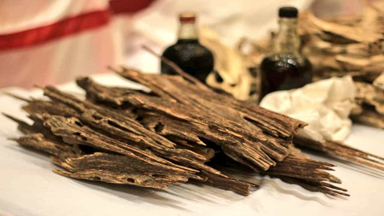 चंदनाच्या लाकडापेक्षा हजारो पटीने महाग, एक ग्रॅमची किंमत तब्बल 7 लाख, भारतात जगातलं सर्वात दुर्मिळ लाकूड