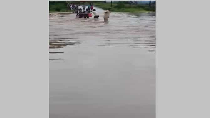 धरण फुटण्याच्या अफवांवर विश्वास ठेवू नका, नागरिकांनी घराबाहेर पडू नका, पुढील दोन दिवस प्रशासनाला सहकार्य करण्याचे आवाहन