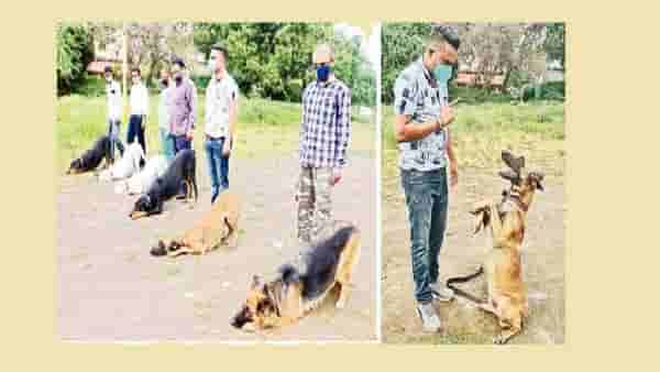 Aurangabad Crime: 9 महिन्यात 62 गुन्ह्यांची उकल करण्यात श्वानांची मदत, औरंगाबाद पोलीस दलातील प्रशिक्षित श्वानांची कामगिरी