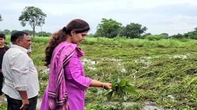 जयंत पाटील आले, पण एकाही शेतकऱ्याच्या बांधावर गेले नाहीत, शेती नुकसानाच्या पाहणीवेळी पंकजा मुंडेंची टीका