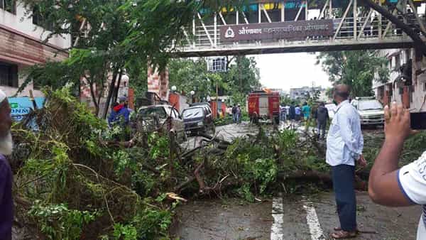 महापालिकेच्या परिसरातील पार्किंगमध्ये उभ्या असलेल्या 1 आटो रिक्षा आणि मारुती 800 ,महिंद्रा एसयूव्ही,टाटा नॅनो, स्पार्क व तवेरा या गाड्यांचे नुकसान झाले आहे. मनपा मुख्यालय टप्पा क्र 3 येथील व मनपा पार्किंग येथील कँटीन बाजूला असलेले झाड सकाळी कोसळले.